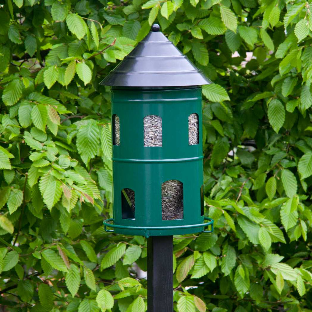 Foderautomat til fugle i grøn fra Wildlife Garden set med foder