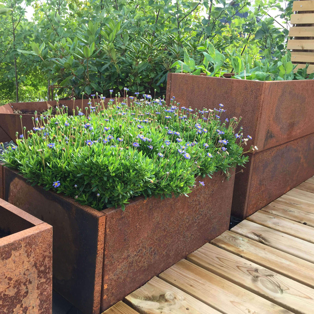 Højbede i Rust - Højbede i Rå Jern – Haveteknik.dk