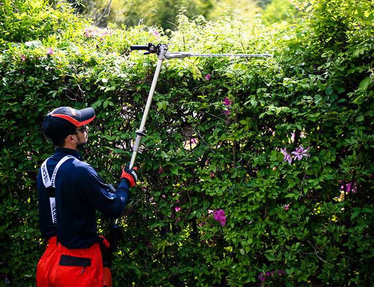 Echo MTA-DAH PAS Hækkeklipper til DPAS - 2600