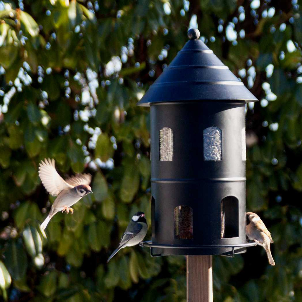 foderautomat i sort fra Wildlife Garden set med fugle